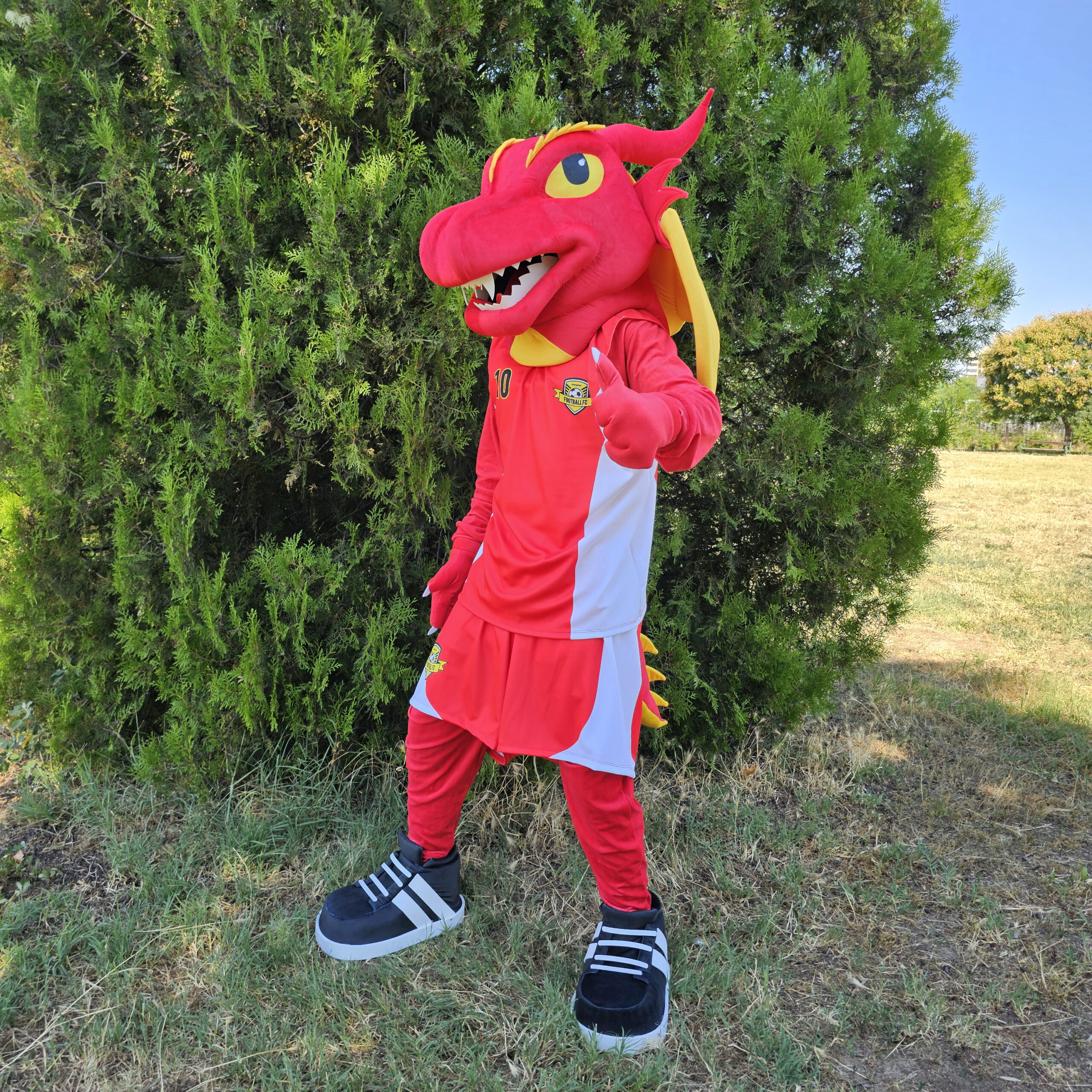 Mascot costumes